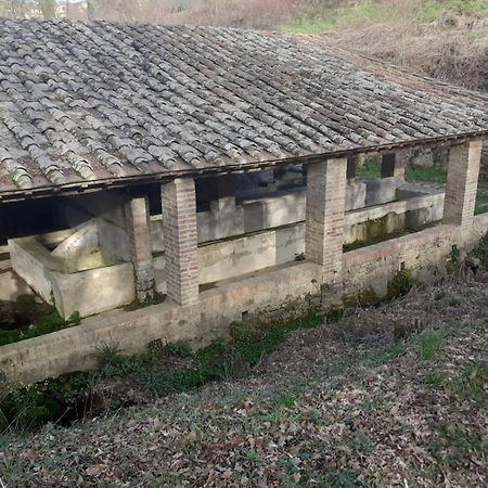 Casa Di Zio Villa Monticiano Oda fotoğraf