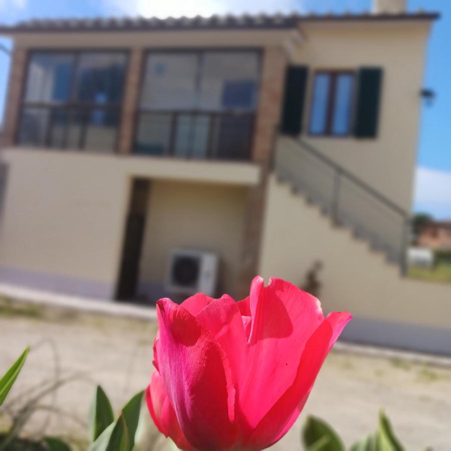 Casa Di Zio Villa Monticiano Dış mekan fotoğraf